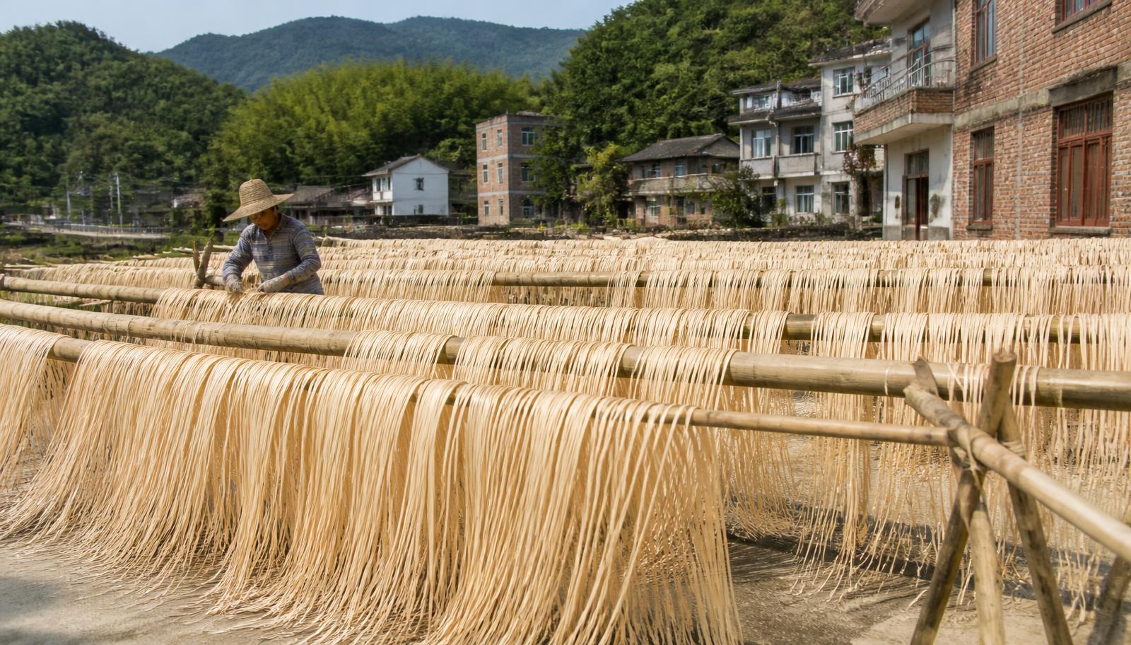 Split rattan strips drying on bamboo racks in a Guangxi village